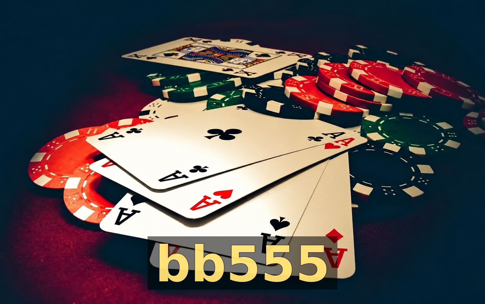 bb555 — destaque 1